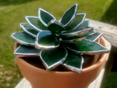 Succulent 4-Week Stained Glass