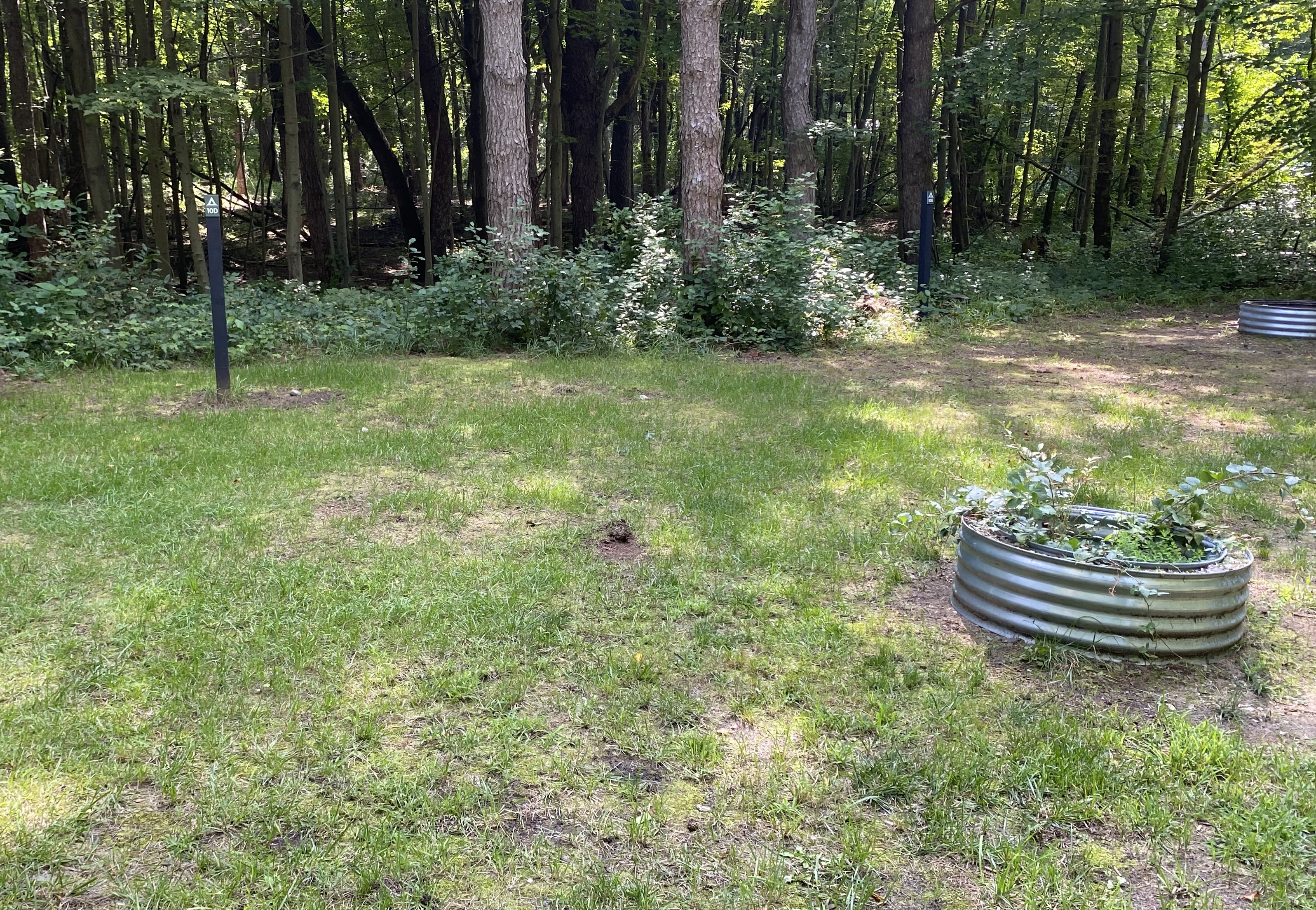 Image for Tent Site 10d (part of group site)